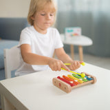Wooden toy xylophone - eco friendly toy.